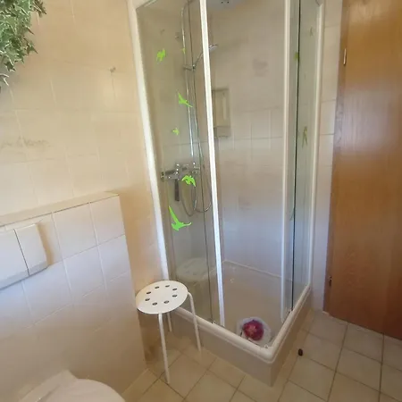 شقة Haus Kirschbluete شلينغين